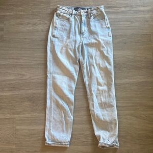 High Waist Mom Jean Hollister